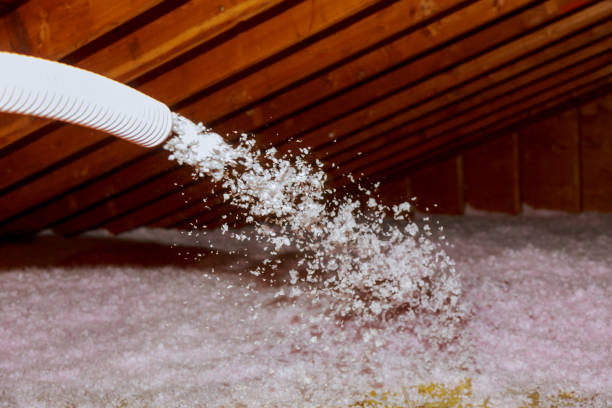 Best Eco-Friendly Insulation in Spring Grove, IL