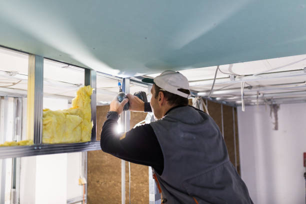 Best Energy Efficiency Insulation in Spring Grove, IL